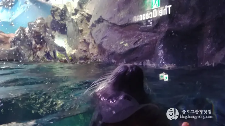 롯데월드 아쿠아리움 제2롯데월드, 잠실 롯데타워