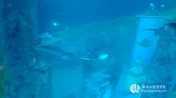 롯데월드 아쿠아리움 제2롯데월드, 잠실 롯데타워