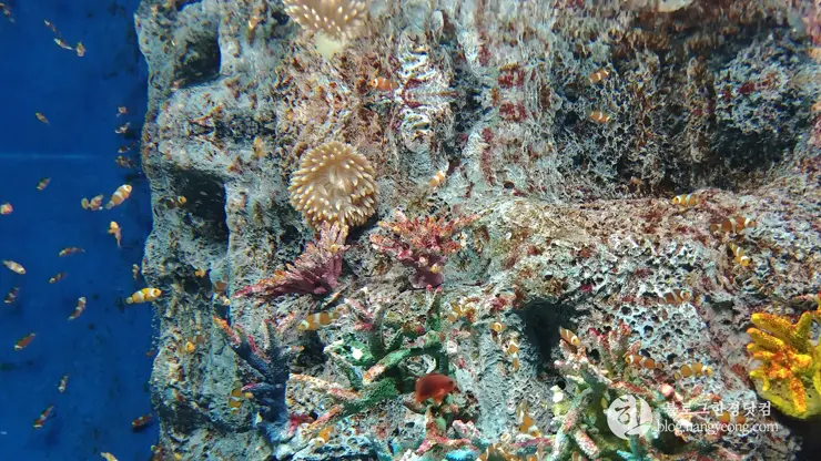 롯데월드 아쿠아리움 제2롯데월드, 잠실 롯데타워