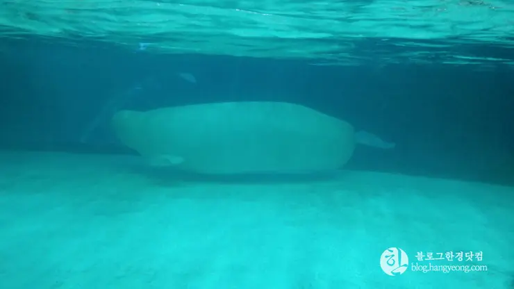 롯데월드 아쿠아리움 제2롯데월드, 잠실 롯데타워