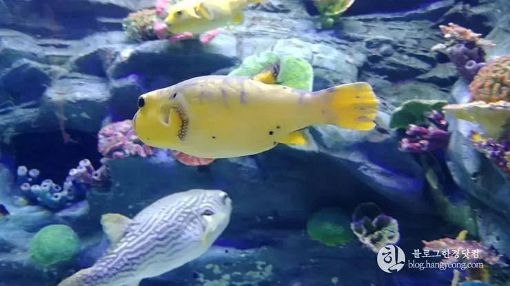 롯데월드 아쿠아리움 제2롯데월드, 잠실 롯데타워