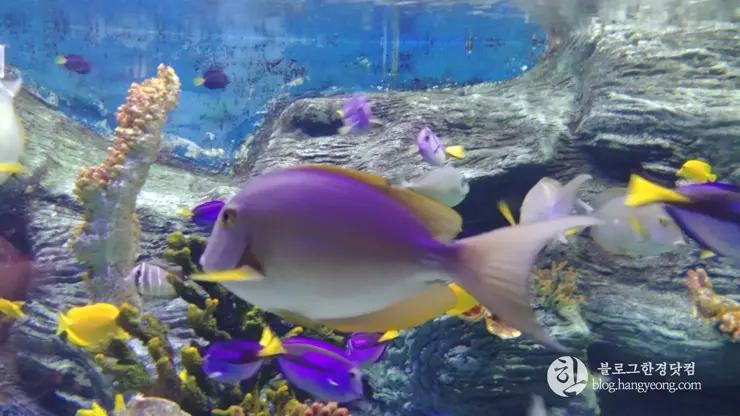 롯데월드 아쿠아리움 제2롯데월드, 잠실 롯데타워