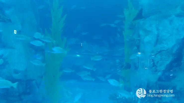 롯데월드 아쿠아리움 제2롯데월드, 잠실 롯데타워