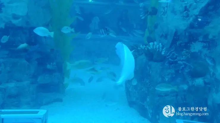 롯데월드 아쿠아리움 제2롯데월드, 잠실 롯데타워