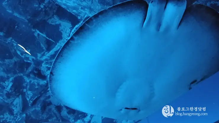 롯데월드 아쿠아리움 제2롯데월드, 잠실 롯데타워