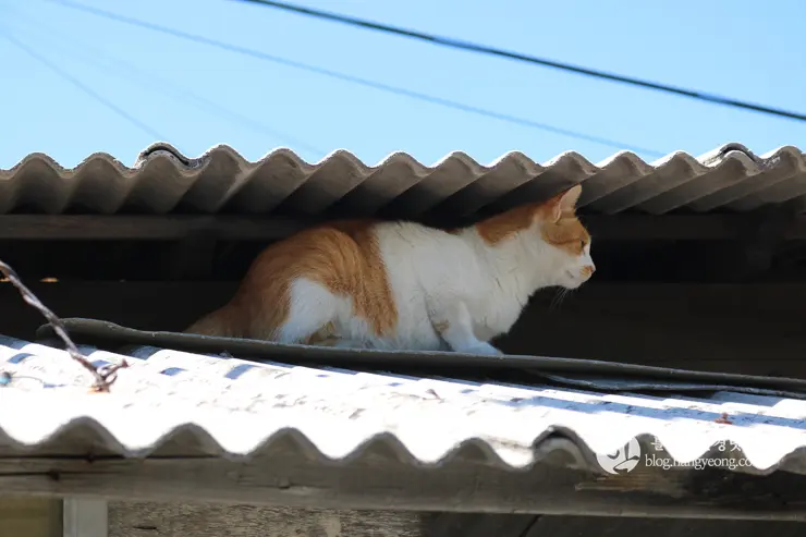 노원구 중계동 104마을 (백사마을) | 서울의 마지막 달동네라 불리는 곳