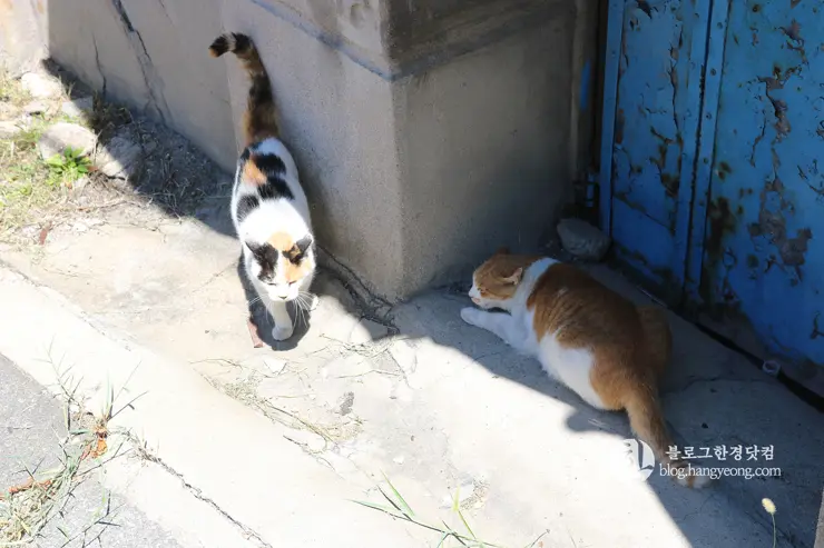 노원구 중계동 104마을 (백사마을) | 서울의 마지막 달동네라 불리는 곳