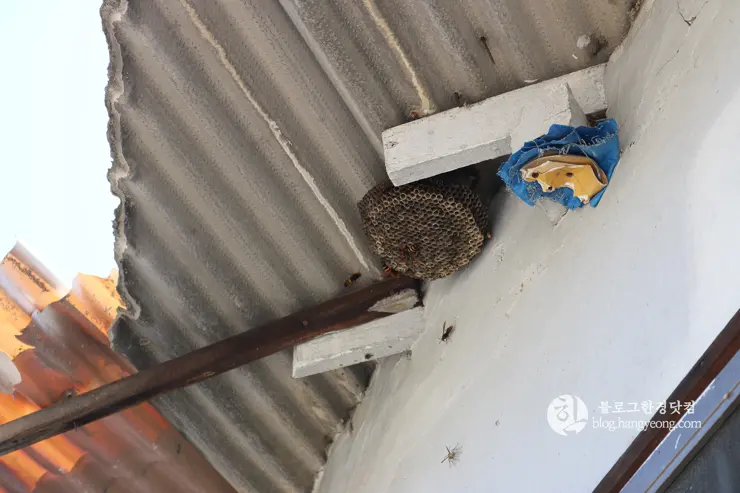 노원구 중계동 104마을 (백사마을) | 서울의 마지막 달동네라 불리는 곳