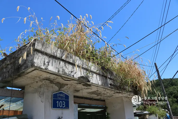 노원구 중계동 104마을 (백사마을) | 서울의 마지막 달동네라 불리는 곳