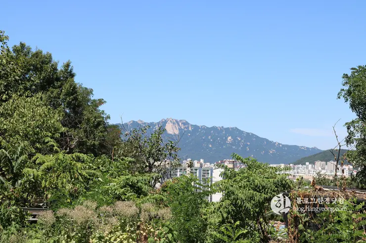 노원구 중계동 104마을 (백사마을) | 서울의 마지막 달동네라 불리는 곳