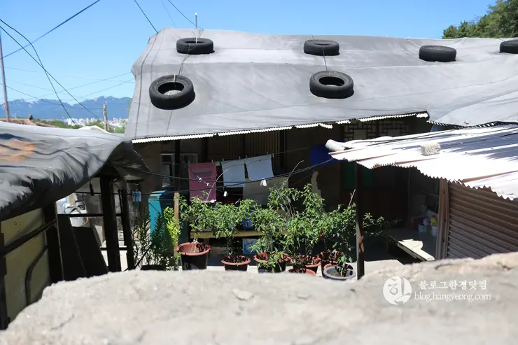 노원구 중계동 104마을 (백사마을) | 서울의 마지막 달동네라 불리는 곳