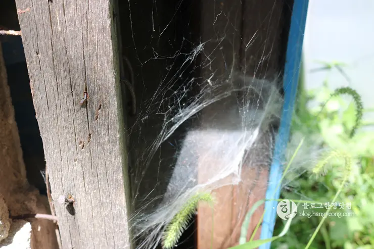 노원구 중계동 104마을 (백사마을) | 서울의 마지막 달동네라 불리는 곳