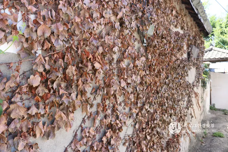 노원구 중계동 104마을 (백사마을) | 서울의 마지막 달동네라 불리는 곳