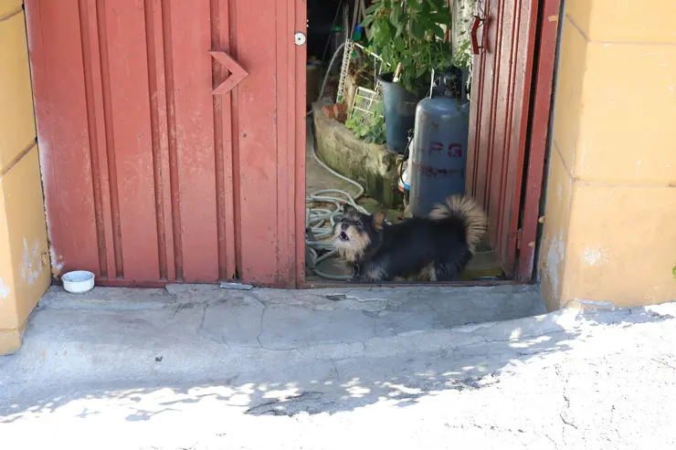 노원구 중계동 104마을 (백사마을) | 서울의 마지막 달동네라 불리는 곳