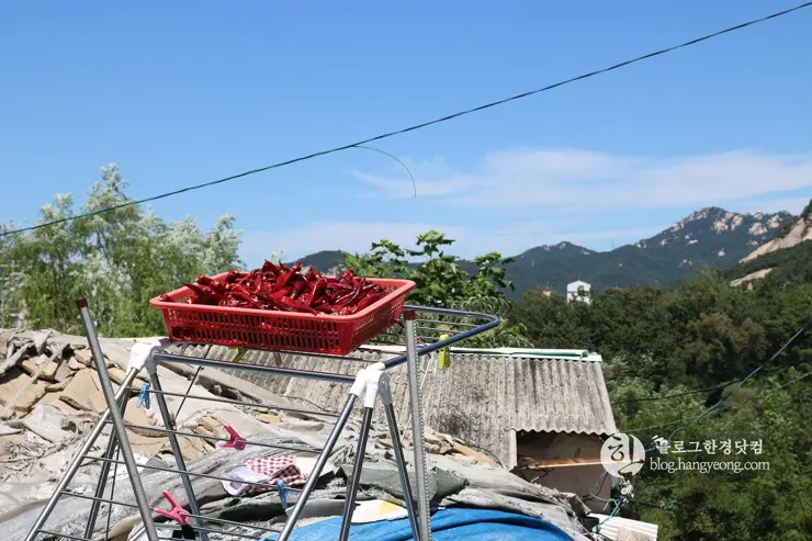 노원구 중계동 104마을 (백사마을) | 서울의 마지막 달동네라 불리는 곳