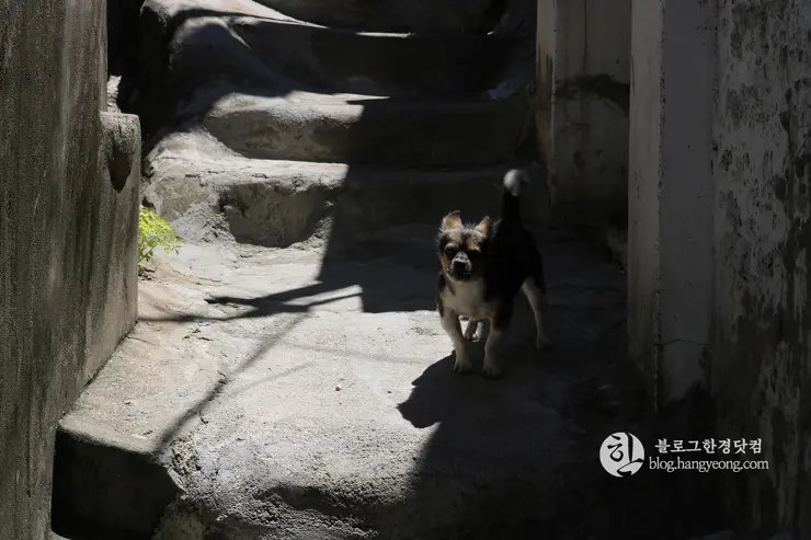 노원구 중계동 104마을 (백사마을) | 서울의 마지막 달동네라 불리는 곳