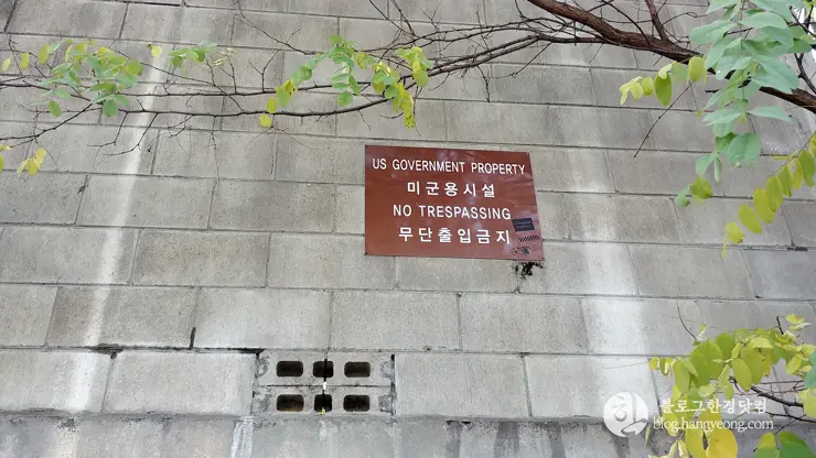 이태원 더 버거 ITAEWON THE BURGER 이태원 수제버거 맛집