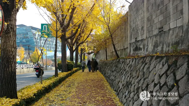 이태원 더 버거 ITAEWON THE BURGER 이태원 수제버거 맛집