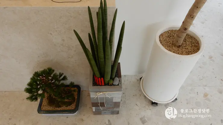 늘바이한, 평택 합정동 분위기 좋은 바느질 카페, 한복 카페