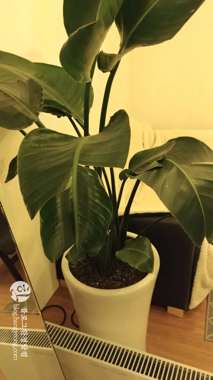 아너 카페 Honor Cafe | 서울과학기술대학교, 공릉동 예쁜 카페