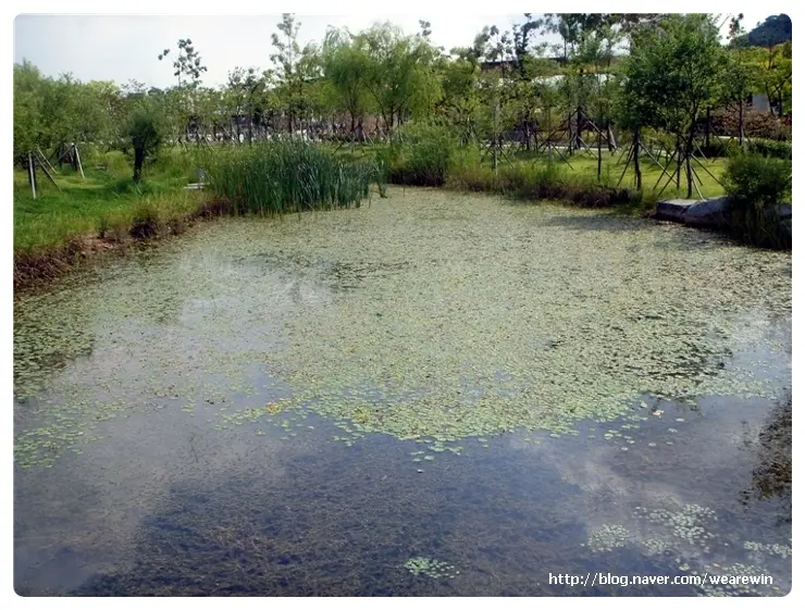 봉하마을(노무현 전대통령 생가)방문 및 통영여행기 (2)