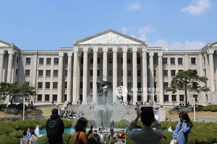 경희대학교 경희랜드 봄 벚꽃놀이 구경