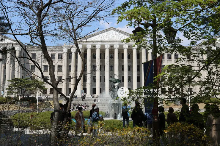 경희대학교 경희랜드 봄 벚꽃놀이 구경