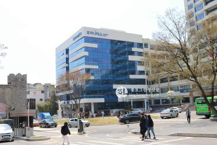 경희대학교 경희랜드 봄 벚꽃놀이 구경