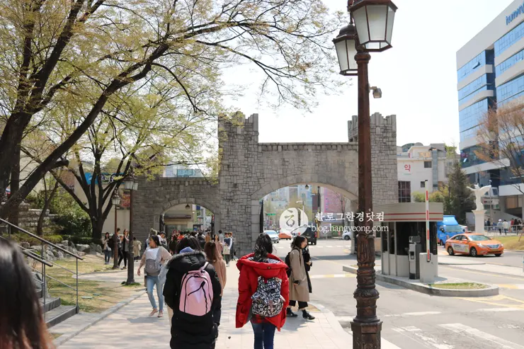 경희대학교 경희랜드 봄 벚꽃놀이 구경